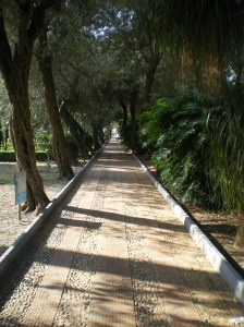 The gardens in Taormina.